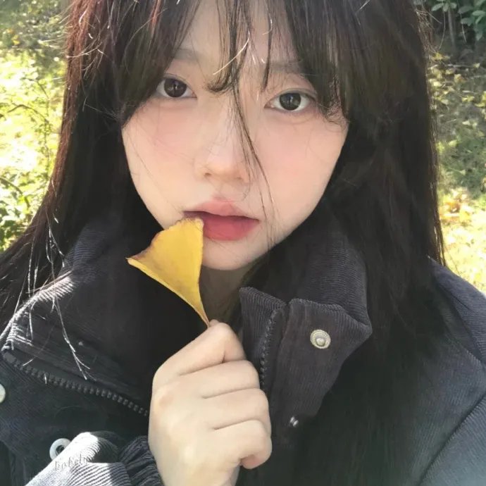 凤城新娘